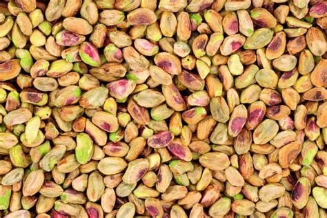 How To Plant And Grow A Pistachio Tree