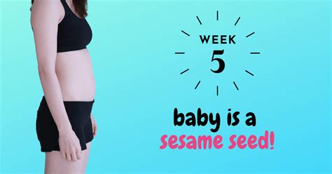 5 Weeks Pregnant Bumpdate A Sesame Seed