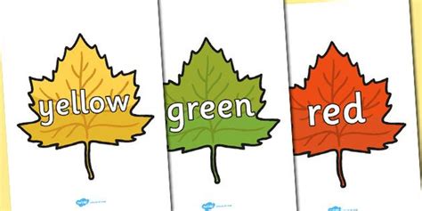 Colour Words on Autumn Leaves | Autumn leaves, Autumn display, Autumn