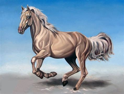 Cách Vẽ Con Ngựa đơn Giản đẹp Nhất Dành Cho Bé Mẫu Hình Vẽ Ngựa 2022