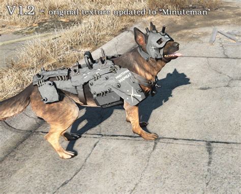 Fallout 4 Dogmeat Armor Vicasir