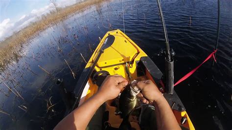 Pesca De Lobina Arreglo Texas Youtube