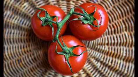How To Grow Tomato Red Russian A Complete Guide For Juicy And
