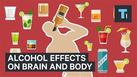 Alcohol Effects On Brain And Body Youtube