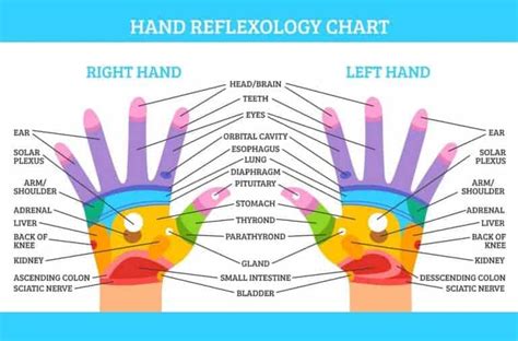 Seven Important Pressure Points On Your Hands Bino Massage