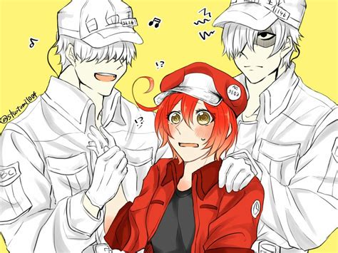Cells At Work White Blood Cell X Red Blood Cell Alucard Castlevania Technology Life White