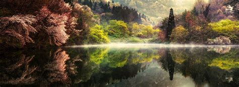 Nature Landscape Spring Lake Morning Forest Mist Trees Water Reflection Mountain