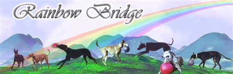 Rainbow Bridge Joeys Greyhound Friends