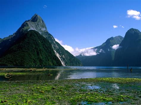 River In New Zealand Beautiful Scenery Wallpaper 1680x1050 Wallpaper