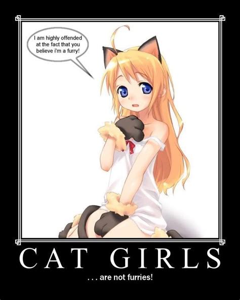 Catgirls Anime Amino