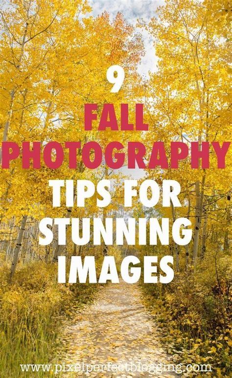 9 Fall Photography Tips For Stunning Images Autumn Photography