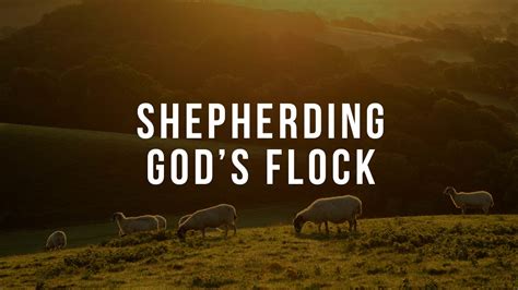 Shepherding Gods Flock → Shepherding Gods Flock Lesson 1 Biblical