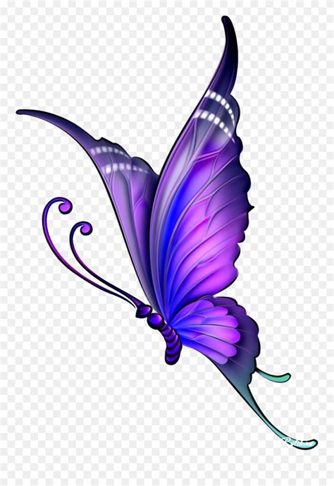 Butterfly Drawing Color Clip Art Butterfly Drawing With Colour Png