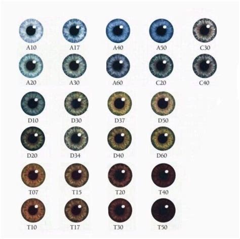 Rare Eye Colors Chart Google Search Eye Color Chart Rare Eye Image