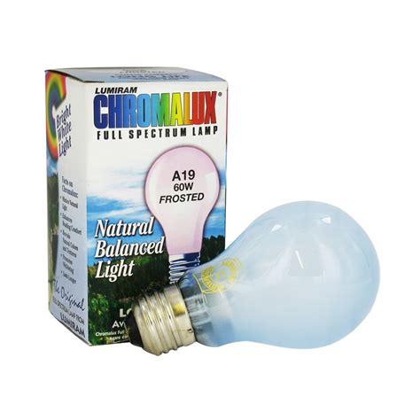 5 Best Full Spectrum Light Bulbs Light Up A Large Scope Tool Box