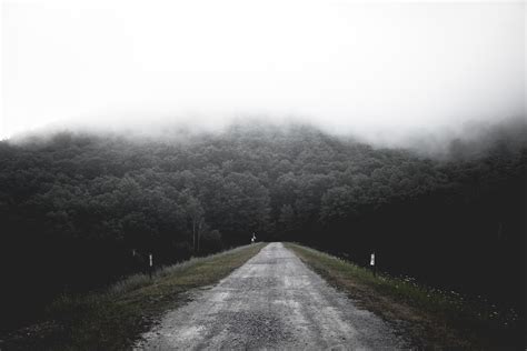 A Dirt Path Leading Into A Dark Mist Shrouded Forest Path Into A