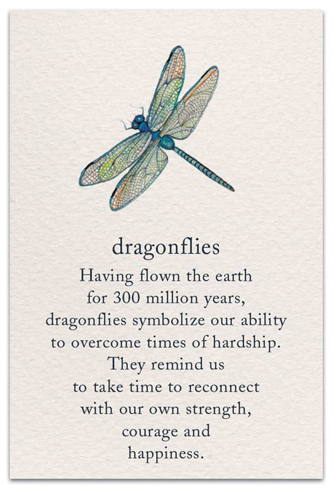 To help the federal government fight the funding of terrorism and money laundering activities, the usa patriot act requires us to. Dragonfly | Support & Encouragement Card | cardthartic.com