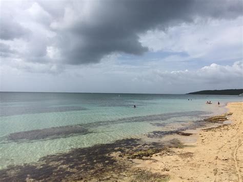 Playa Ensenada Yegua Descubra Puerto Rico
