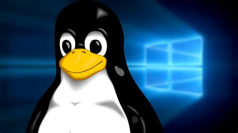 TOP 5 Distribuições Linux que podem substituir o Windows 10 Pplware
