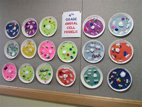 We did not find results for: Plant and animal cells, Biology for kids, Cells 5th grade