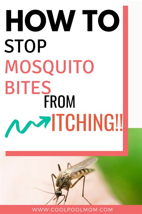 How To Make Mosquito Bites Stop Itching Cool Pool Mom