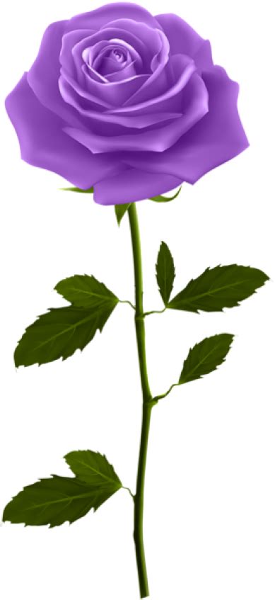 Purple Rose With Stem Clipart Full Size Clipart 5713980 Pinclipart