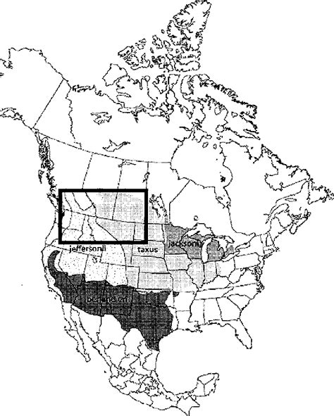 North American Range Of Badgers Showing Subspecific Distributions