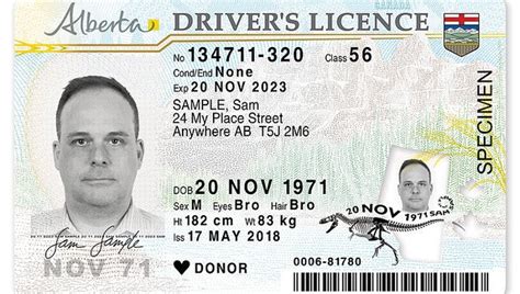 Do i need an international driving license to drive in overseas? How to get an Alberta Driver's Licence