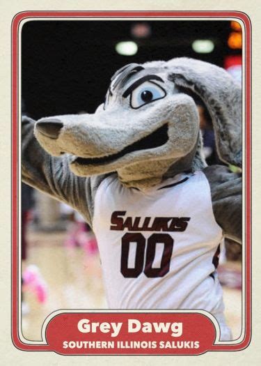 Grey Dawg Southern Illinois Salukis Carbondale College Football