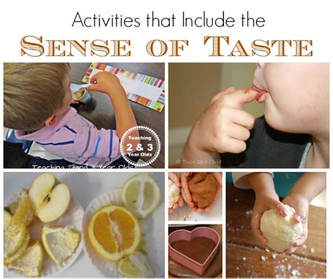 Activities Using The Five Senses