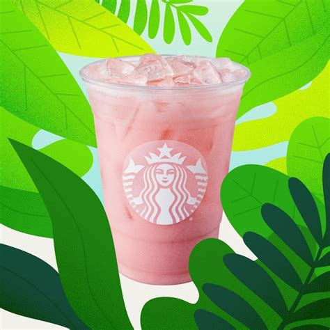 Starbucks Unveils Dairy Free Summer Drink