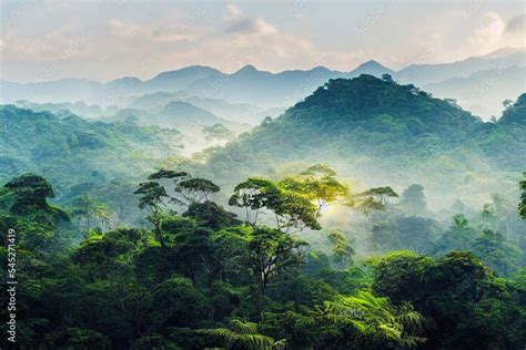 ภาพประกอบสต็อก Landscape Of Asia Tropical Rainforest Canopy Tree Of
