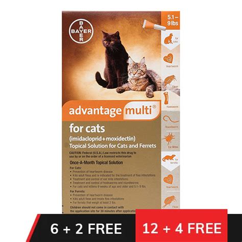 Buy Advantage Multi Advocate Kittens And Small Cats Up To 10lbs Orange
