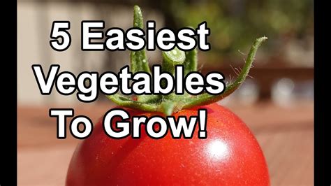 5 Of The Easiest Vegetables To Grow Youtube