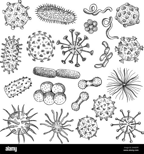 Boceto De Bacterias Dibujo De Virus Biológicos Closeup Células Covid