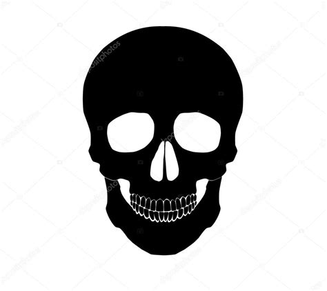 Search for your perfect free woman & female silhouette vector graphics through millions of free images from all over the internet. Silhouette Illustration of a human skull. Vector ...