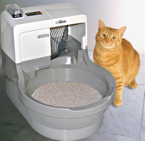 Catgenie Self Washing Self Flushing Cat Litter Box Crazy