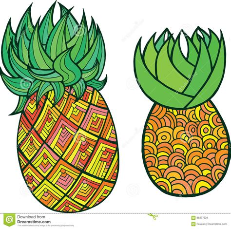 Pineapple Coloring Page Graphic Vector Colorful Doodle Art For Stock