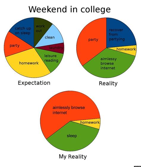 College Explained Perfectly In Pie Charts Buzzfeed Huffpost