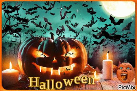 Flying Bats And Jack O Lantern Halloween  Pictures Photos And