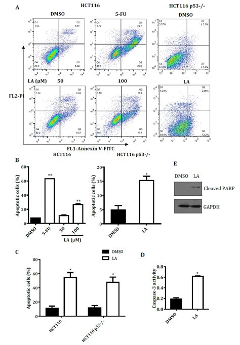 la treatment induces apoptosis in hct116 cells a hct116 and download scientific diagram