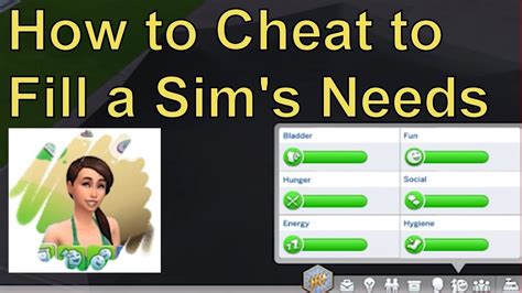 How To Cheat To Fill A Sims Needs Youtube