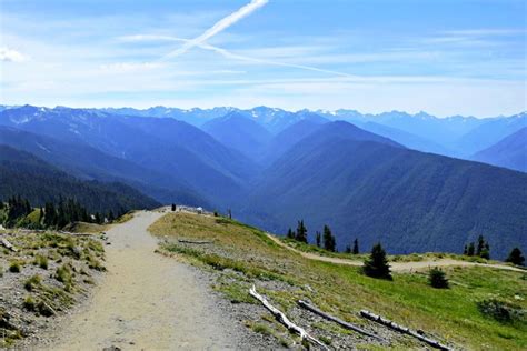 One Day In Olympic National Park 2019 Guide