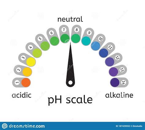 Vector Ph Scale Of Acidicneutral And Alkaline Value Chart Stock Vector