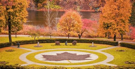 15 Places To Take The Best Fall Photos In Toronto Mapped