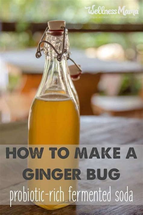 How To Make A Ginger Bug Recipe Ginger Bug Fermented Soda