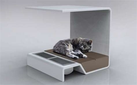 Canopy Pet Beds Pamper Your Feline Friend With The Modern Cat Bed