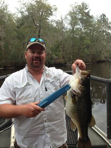 Talquin Bass Fwc Fisheries Biologist Andy Strickland Exa Flickr