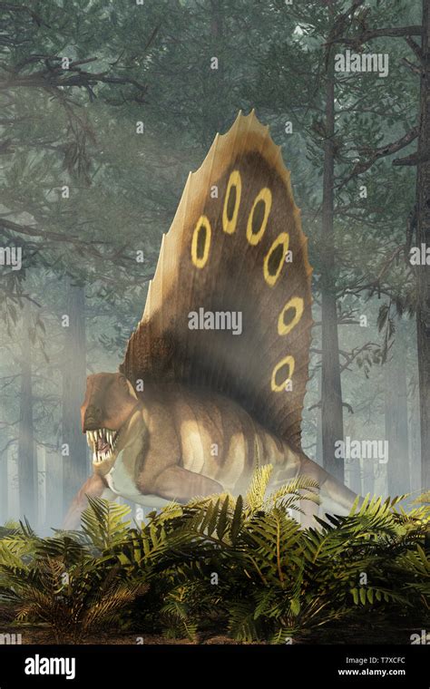 A Brown Dimetrodon A Prehistoric Sail Backed Creature That Predates