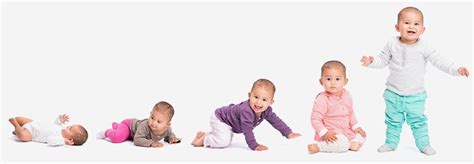 Physical Development In Infants And Toddlers Chart And Tips Parenting